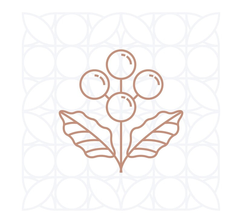 Specialty Coffee